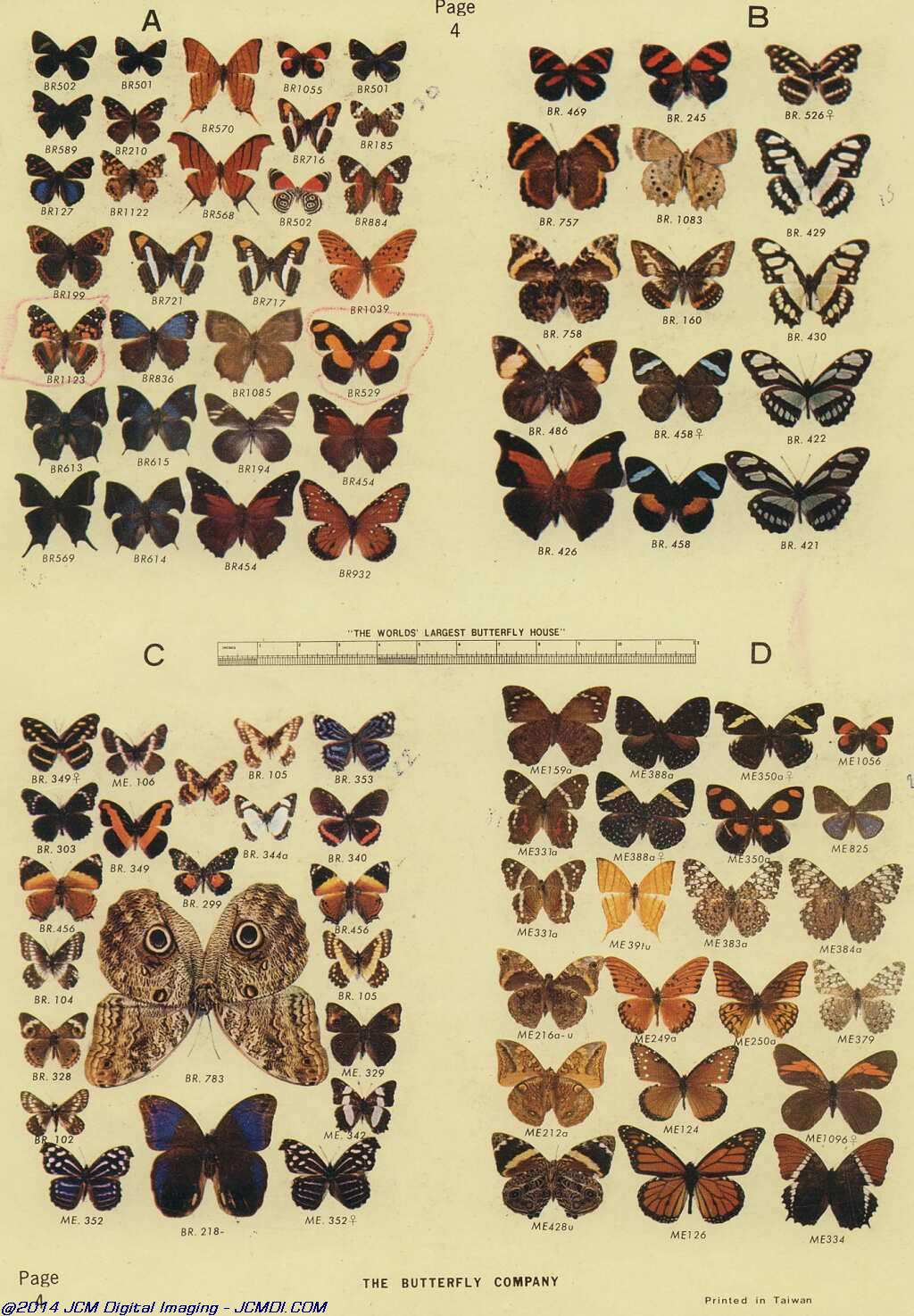 The Butterfly Company (NY) 18 page catalog 1976
